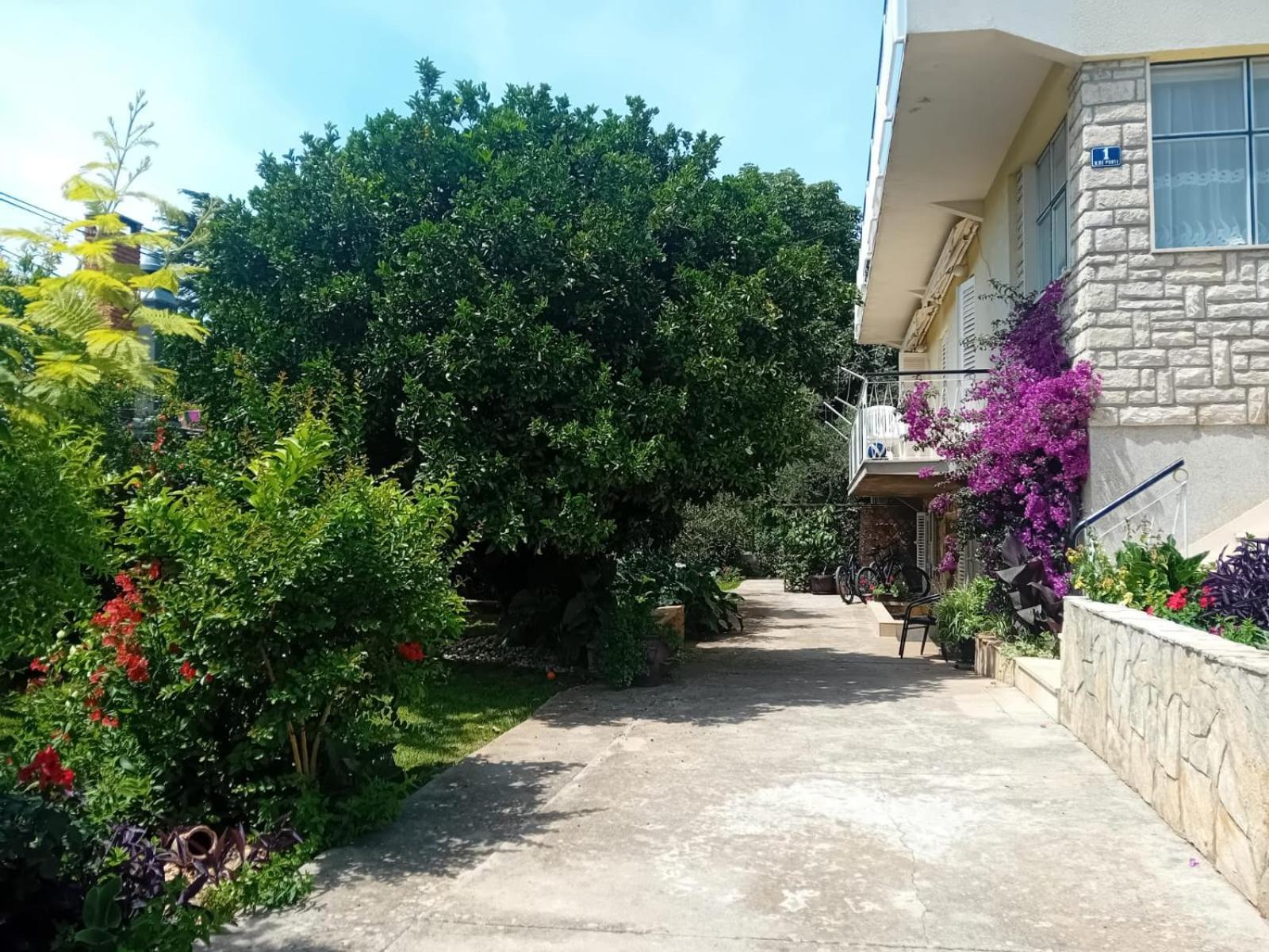 Apartments Angie Zadar Luaran gambar
