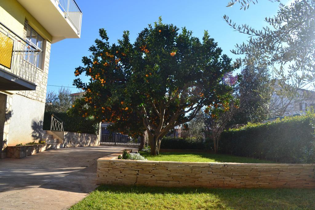 Apartments Angie Zadar Bilik gambar